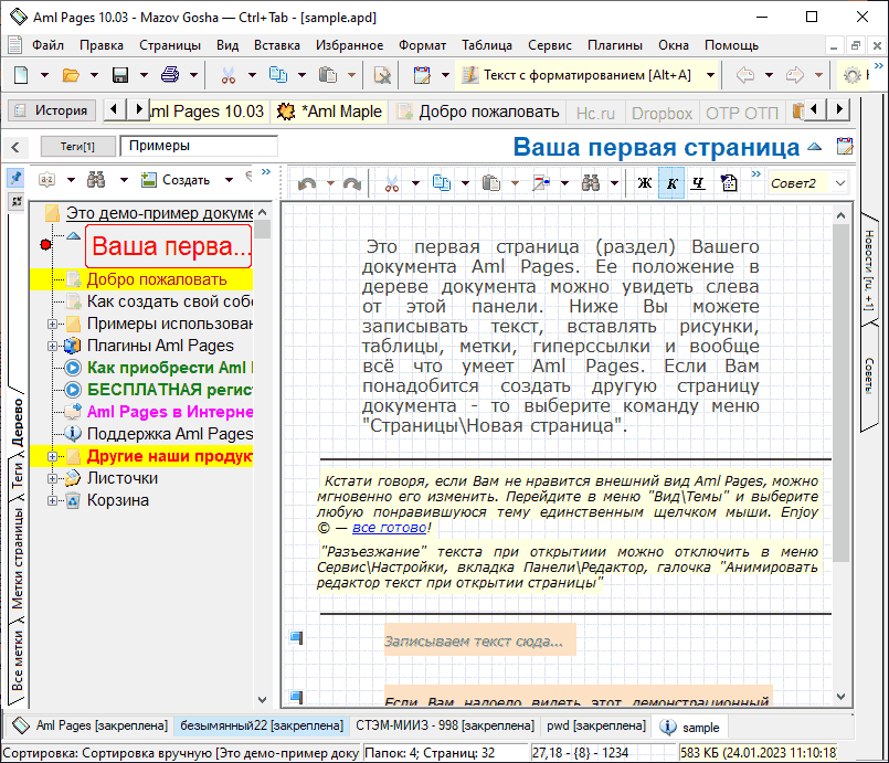 Aml Pages 9.04