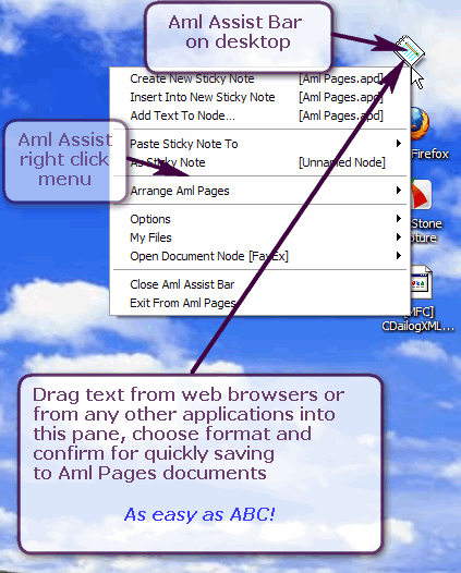 Aml Assist pane