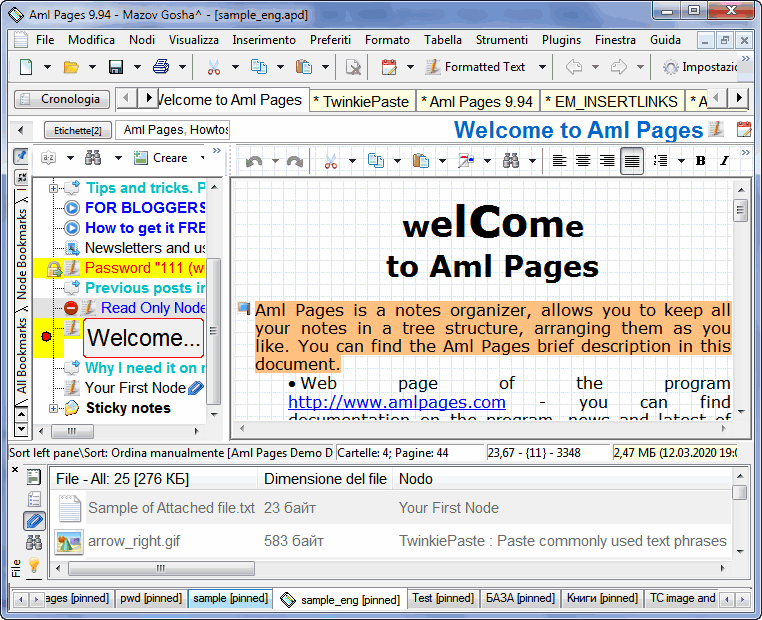 Aml Pages screenshot