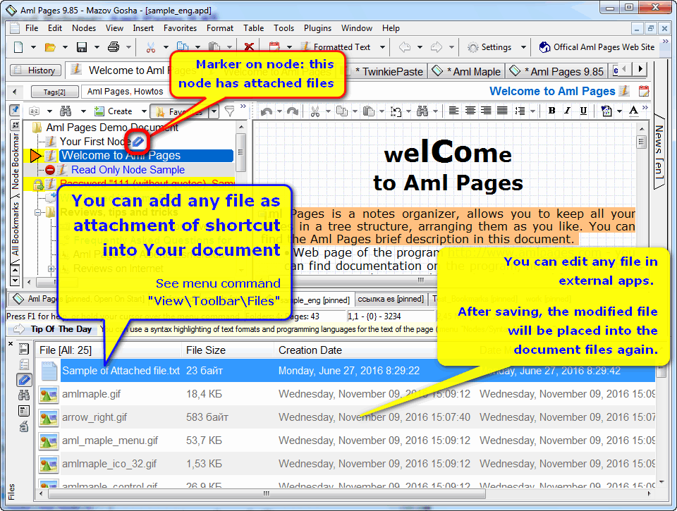 Aml Pages : Any images and files as attachment